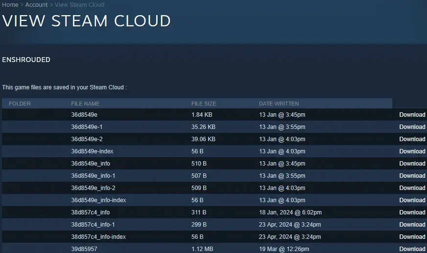 Steam Cloud file list used to recover saved Enshrouded files